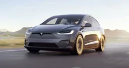Tesla Model X, Perfect condition